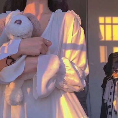慈善星辉布公仔