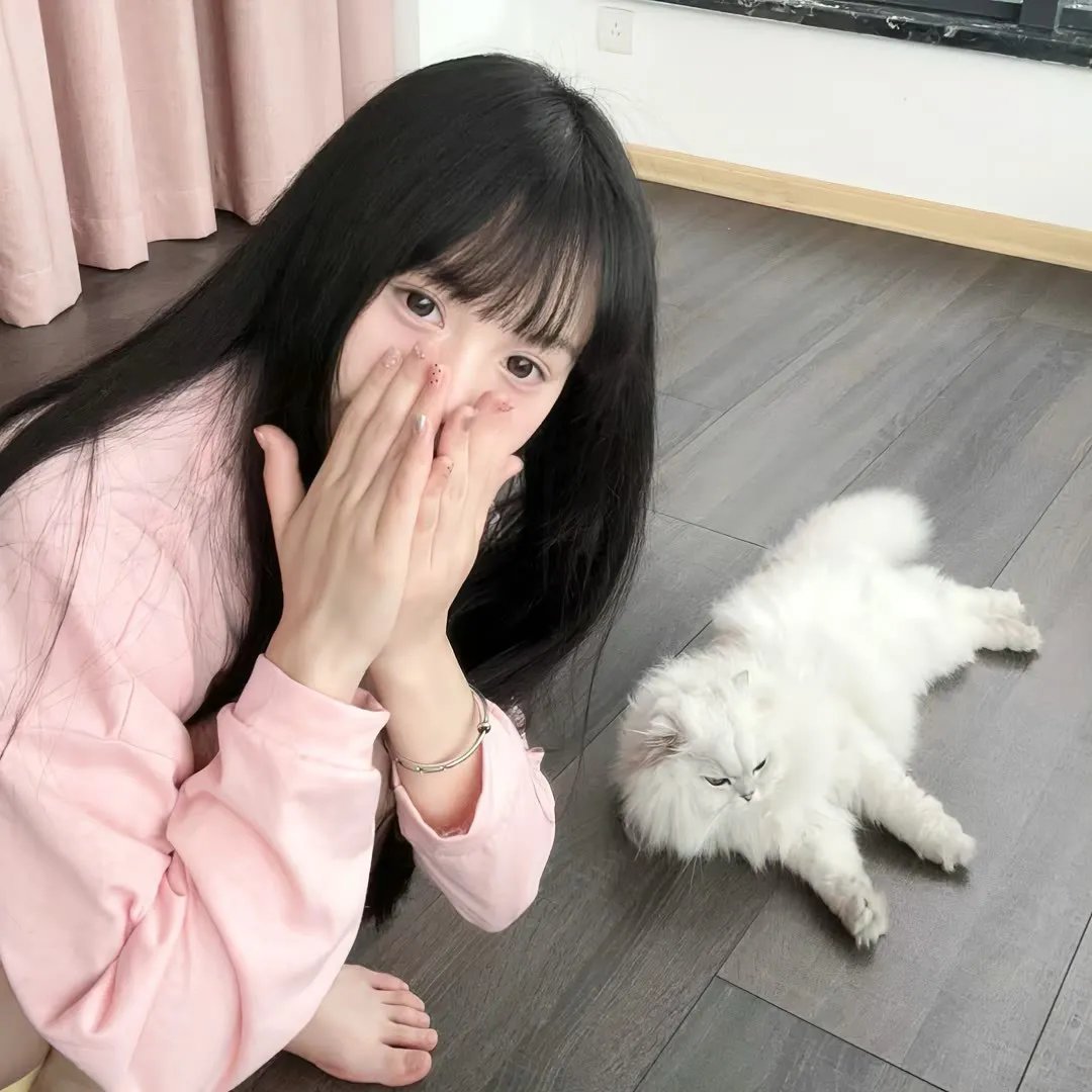精灵也疯狂